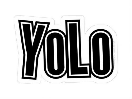 Yolo - you only live once! (bumper sticker)