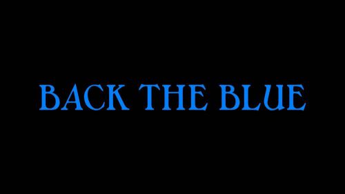 Back the blue vinyl decal (2&#034; x 20&#034;)