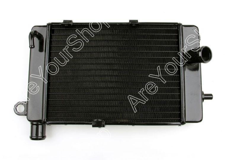 Radiator grille guard cooler aprilia mille rsv1000 tuono 02-05 right hand b