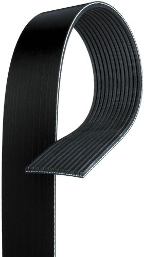Serpentine belt-century series premium oe micro-v belt fits 1991 d40lf 9.0l-v6
