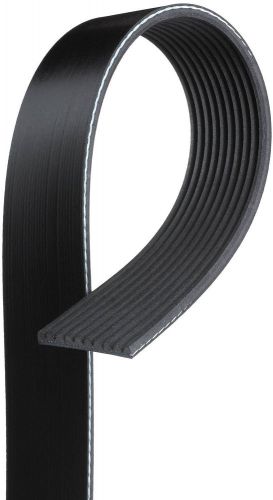 Serpentine belt-century series premium oe micro-v belt fits 93-97 9400