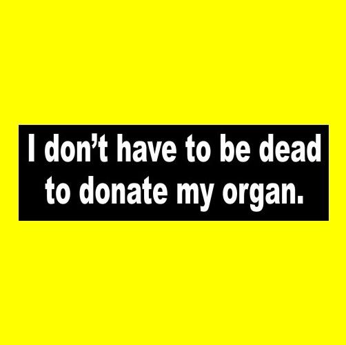Funny "i don't have to be dead to donate my organ" mens bumper sticker car decal