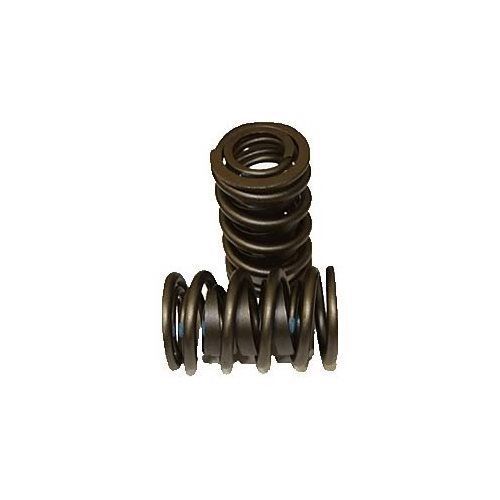 Afr replacement valve spring 8020