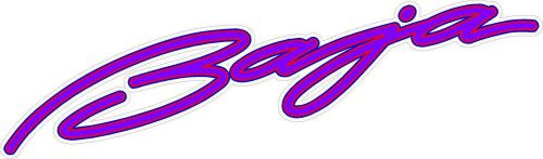 #p171 (2) pair 10&#034; baja boat script decal outlaw 322 sport 280 h2x purple red
