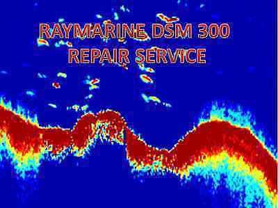 Raymarine dsm 300 repair service