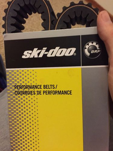 Ski-doo performance belts