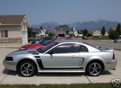Buy 99 04 Ford Mustang Boss Style Stripes Gt Cobra V6