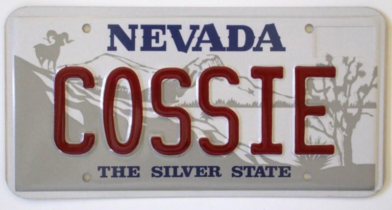 Cossie metal novelty license plate for your cosworth vega