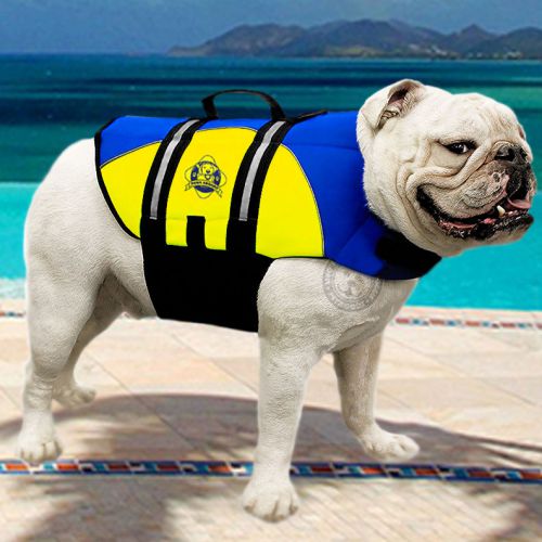 Paws aboard dog life jacket swim vest neoprene blue yellow 50-90 lb large new!