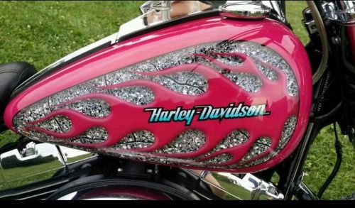 Harley davidson fatboy numbered paint set carburetor (reduced)