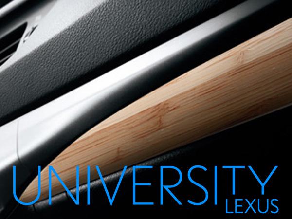 New f-sport lexus oem 2011-2013 ct200h bamboo accent panel - simply pop-in place
