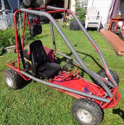 Go kart 6.5 hp with roll cage and seat belt - fun!! reliable