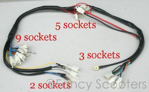 X-1, x-2 x-8 pocket bikes (2 stroke) whole wire harness (after market)
