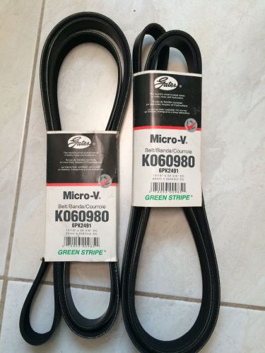 Serpentine belt-micro-v at premium oe v-ribbed belt gates k060980