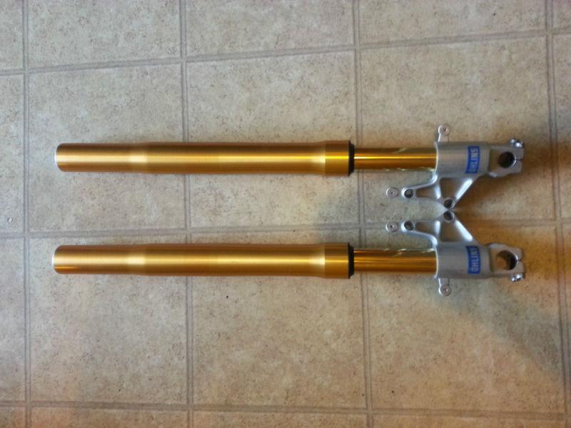 Aprilia mille rsvr v60 ohlins front suspension forks rsv 1000 01-03