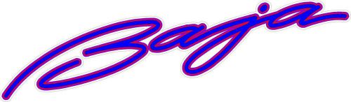 #p17 (2) pair 10&#034; baja boat script decal outlaw 322 sport 280 h2x blue, red purp