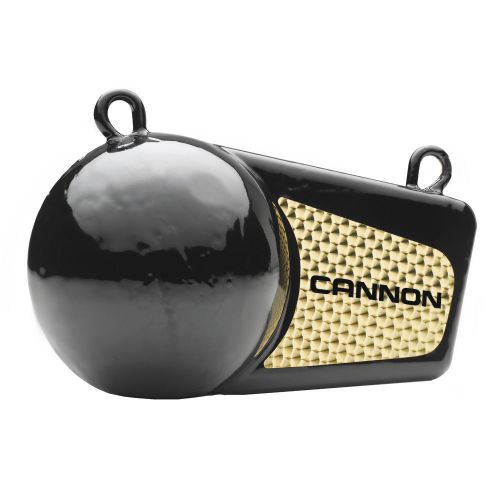 Cannon 6lb flash weight -2295180