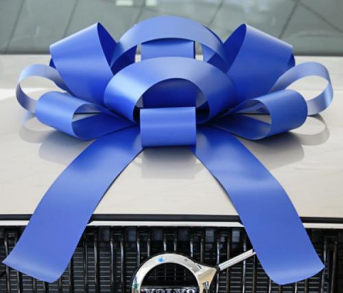 30&#034; magnetic car bow blue