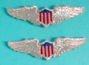 Pilots wings aviation airplane aircraft emblem metallic silver patch applique