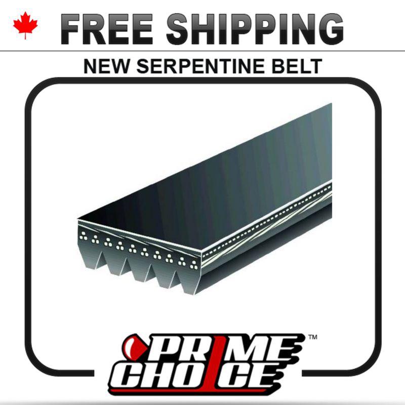 New serpentine drive belt