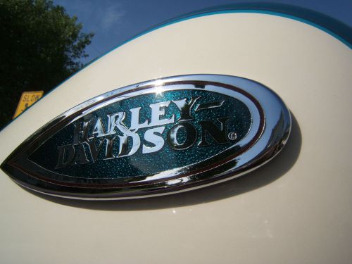 Harley davidson heritage springer gas tank flsts