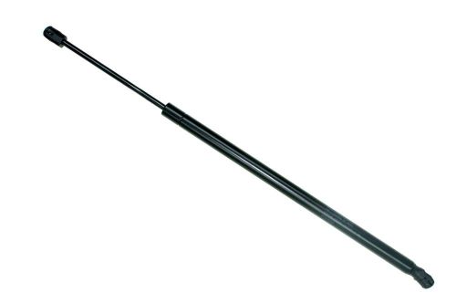 Sachs sg314042 lift support