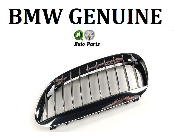Bmw 645ci 650i m6 645ci 650i driver left front grille chrome new 51 13 7 077 931