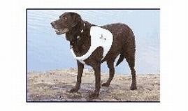 Texas recreation vest dog x-large 27in white 2514004