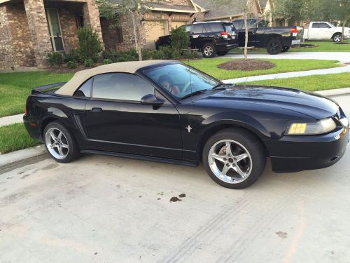 Forst mustang convertible