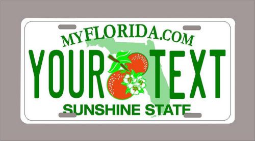 Florida custom novelty license plate-your name or text 6&#034;x12&#034;-free shipping