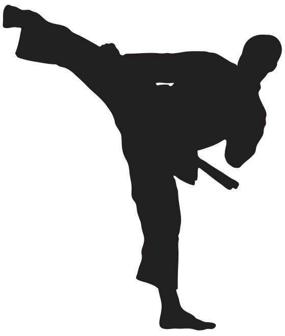 (nr12) karate taekwondo kung fu sign decal -vinyl sticker for  wall  window  car