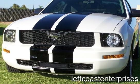 Dual 10" fx racing stripe kit for 2005-09 ford mustangs,your color choice