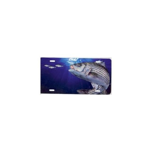 Striped bass fish license plate  free personalization on this plate
