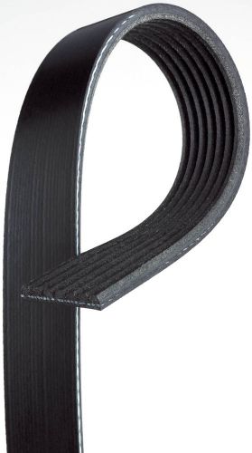 Serpentine belt-century series premium oe micro-v belt fits 08-12 accord 2.4l-l4