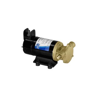 Jabsco 18680-1000 light duty diesel transfer vane pump reversible