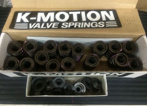 Chevy valves springs