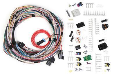 Holley 558-105 main wiring harness holley efi multi-port universal kit