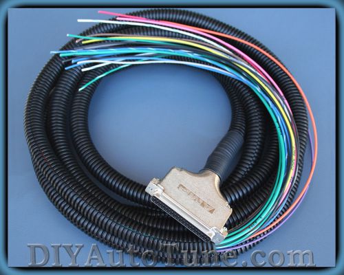 10&#039; megasquirt wiring harness - works with ms1, ms2, ms3