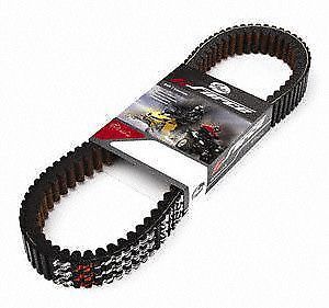 Gates 41g4651 accessory drive belt