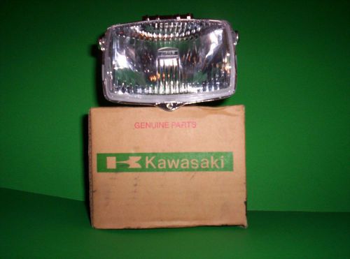 Kawasaki atv headlight lens