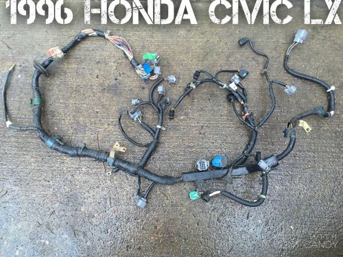 1996 honda civic lx engine wire harness obd2a 5-speed m/t oem uncut! dx 96 97 98
