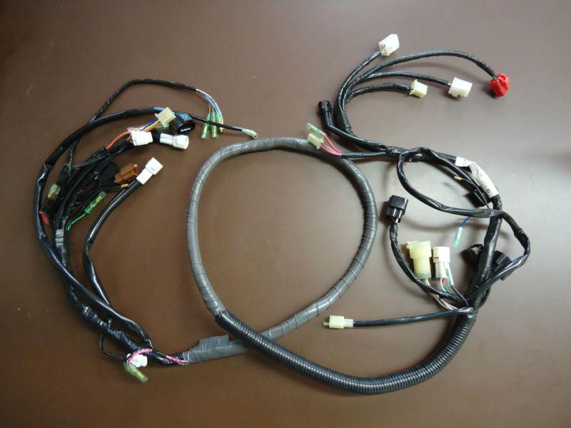 Girzzly wire harness assy