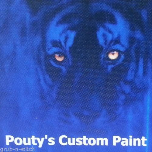 25 grams red blue pearl paint powder auto hvlp  custom boat ppg