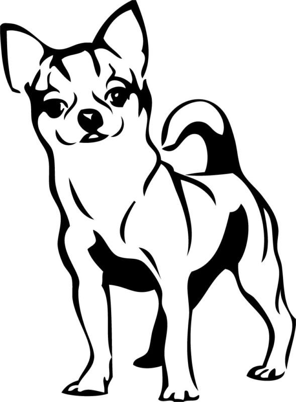 General- chihuahu - vinyl decal sticker - you pick color - puppy dog animal cute