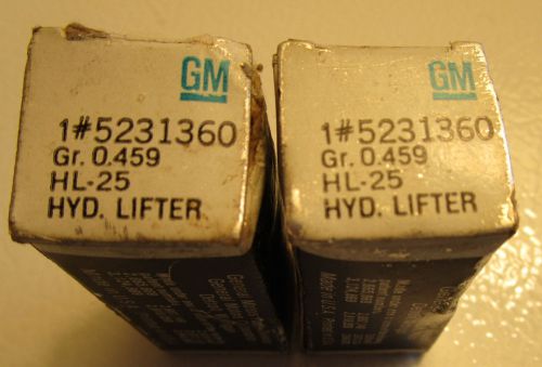 Gm 5231360 hydraulic lifter set of 2 nos