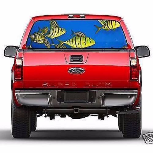 Mg9104 tropical fish rear  window graphictint metro auto graphics fit all trucks