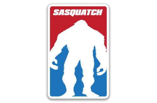 Sasquatch bigfoot yeti 2x sticker decal pack car window utv mx graphics