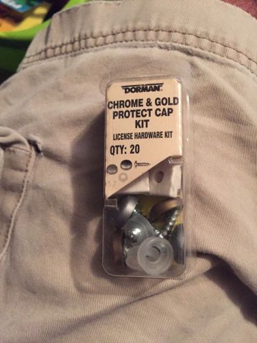 Dorman chrome &amp; gold protect cap kit license plate kit