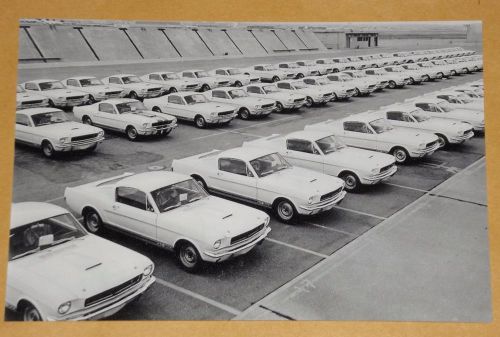 Shelby ford mustang 1965 gt 350 vintage photo american car plant auto 1 pic 358
