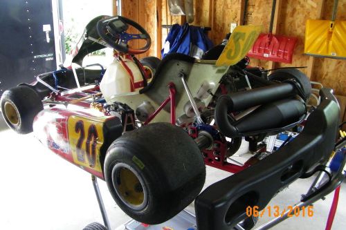 Birel racing gokart rotax